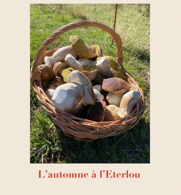 Вілла L'Eterlou Authentique Partie De Corps De Ferme 10Pers. Targassonne Екстер'єр фото